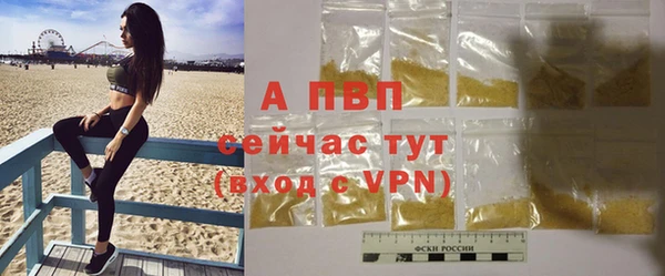 гашик Белокуриха