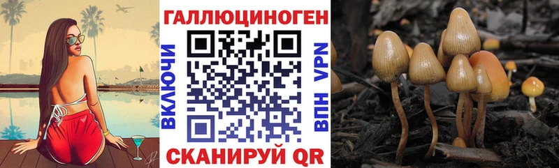 Псилоцибиновые грибы мухоморы сколько стоит Новоалтайск